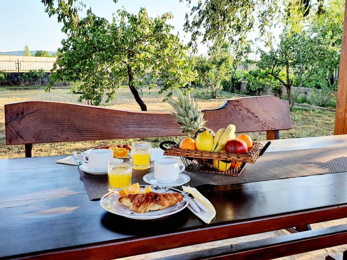 Village House Fafarinka - Close To Krka National Park Konjevrate Екстериор снимка