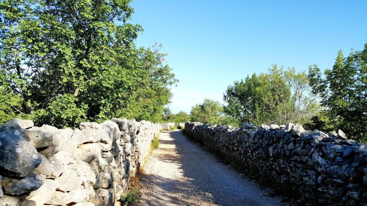 Village House Fafarinka - Close To Krka National Park Konjevrate Екстериор снимка
